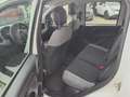 Fiat Panda 1.0 FireFly S&S Hybrid City Life Blanc - thumbnail 8