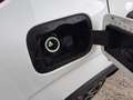 Fiat Panda 1.0 FireFly S&S Hybrid City Life Blanc - thumbnail 14