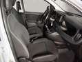Fiat Panda 1.0 70CV Hybrid Gris - thumbnail 7
