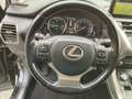 Lexus NX 300h NX 300h 2.5i AWD Business Plus E-CVT Schwarz - thumbnail 19