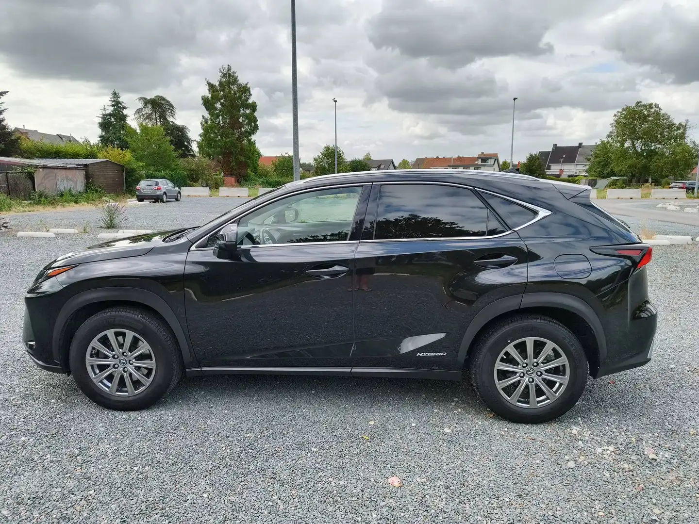 Lexus NX 300h NX 300h 2.5i AWD Business Plus E-CVT Schwarz - 2