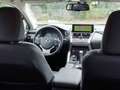 Lexus NX 300h NX 300h 2.5i AWD Business Plus E-CVT Schwarz - thumbnail 11