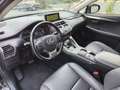 Lexus NX 300h NX 300h 2.5i AWD Business Plus E-CVT Schwarz - thumbnail 15