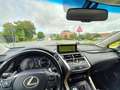 Lexus NX 300h NX 300h 2.5i AWD Business Plus E-CVT Schwarz - thumbnail 20