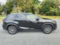 Lexus NX 300h NX 300h 2.5i AWD Business Plus E-CVT Schwarz - thumbnail 7