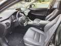 Lexus NX 300h NX 300h 2.5i AWD Business Plus E-CVT Schwarz - thumbnail 14