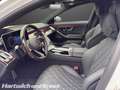 Mercedes-Benz S 580 S 580 AMG Line 4M+E-ActiveBodyControl+Pano+DIGITAL LIGHT+Chaffeurpaket+HA-Lenkung Blanc - thumbnail 13