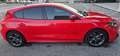 Ford Focus Focus V 2018 1.5 ecoblue ST-Line s Rosso - thumbnail 4