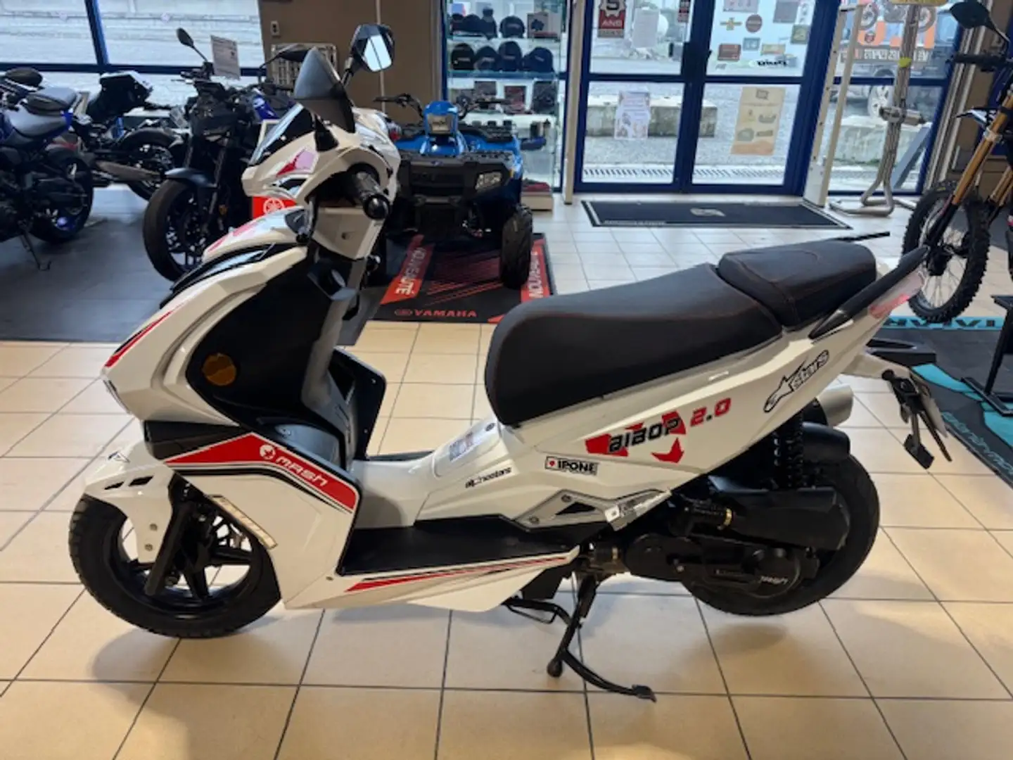 Mash Bibop Blanc - 2