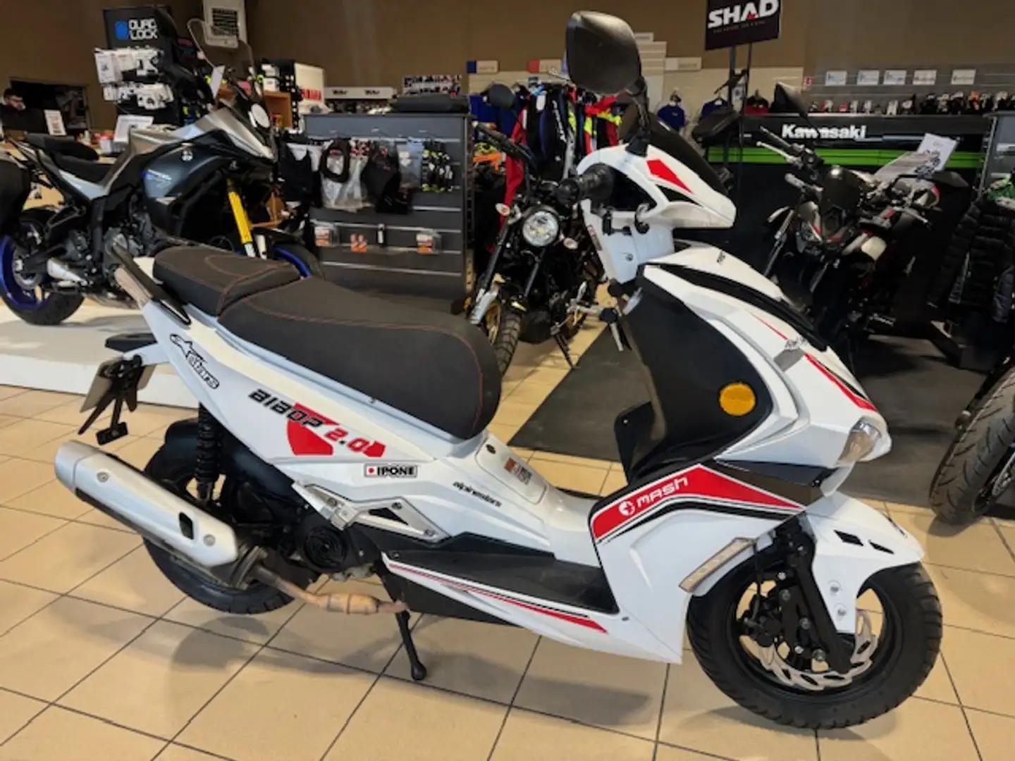 Mash Bibop Blanc - 1