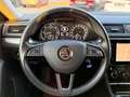 Skoda Superb 2,0 TDI 4x4 Ambition DSG Beige - thumbnail 9
