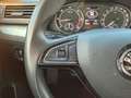 Skoda Superb 2,0 TDI 4x4 Ambition DSG Beige - thumbnail 10