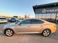 Skoda Superb 2,0 TDI 4x4 Ambition DSG Beige - thumbnail 4