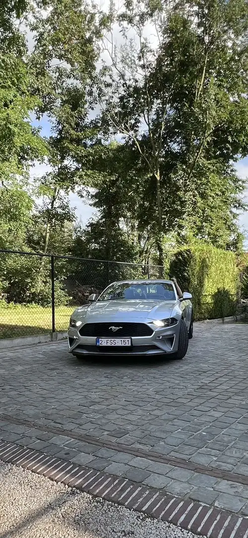 Ford Mustang 2.3 Eco Boost Aut. - 2