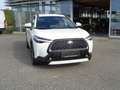 Toyota Corolla Cross 2,0 Hybrid Active Drive Weiß - thumbnail 2