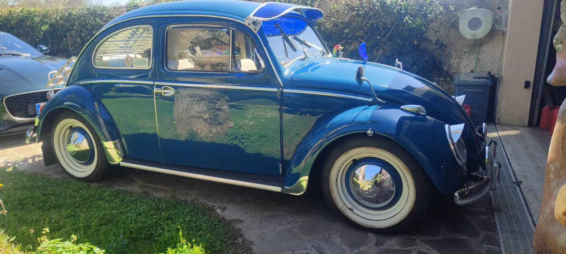 Volkswagen Käfer - 2