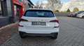 Skoda Kamiq Selection*Sitzh*Lenkradh*RFK Weiß - thumbnail 13
