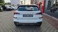 Skoda Kamiq Selection*Sitzh*Lenkradh*RFK Weiß - thumbnail 9