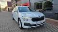 Skoda Kamiq Selection*Sitzh*Lenkradh*RFK Weiß - thumbnail 11