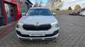Skoda Kamiq Selection*Sitzh*Lenkradh*RFK Weiß - thumbnail 6