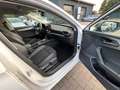 CUPRA Leon ST 2.0TDI 110KW VIRTUAL*LED*NAV*CAM*ACC Weiß - thumbnail 30