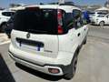 Fiat Panda 1.0 FireFly S&S Hybrid Bianco - thumbnail 9