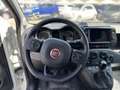 Fiat Panda 1.0 FireFly S&S Hybrid Bianco - thumbnail 4