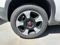 Fiat Panda 1.0 FireFly S&S Hybrid Bianco - thumbnail 18