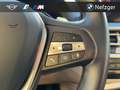 BMW X4 xDrive20i LED HiFi Panorama Memory-Sitze RFK Grau - thumbnail 17