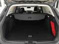 Ford Focus 1.0 Ecoboost 155CV MHEV Active AUT Gris - thumbnail 14