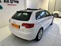 Audi A3 A3 II Sportback  1.6 tdi s-tronic S line / tetto Blanc - thumbnail 5