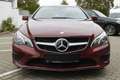 Mercedes-Benz E 350 BlueTec Coupe - Automatik-Pano-Leder Rouge - thumbnail 15