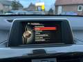 BMW X1 XDrive20i High Executive Gris - thumbnail 18