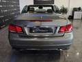Mercedes-Benz E 250 Cabrio 250BlueTec 9G-Tronic Gris - thumbnail 24