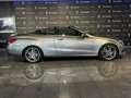 Mercedes-Benz E 250 Cabrio 250BlueTec 9G-Tronic Gris - thumbnail 28