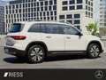Mercedes-Benz EQB 250 TOP Ausstattung Blanco - thumbnail 7