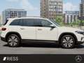 Mercedes-Benz EQB 250 TOP Ausstattung Blanco - thumbnail 5
