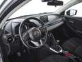 Mazda 2 1.5 Skyactiv-D 105 CV Evolve Grigio - thumbnail 8