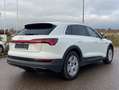 Audi e-tron 55 quattro PAKET-TOUR-STADT+EL.VORDERSITZ Weiß - thumbnail 5