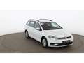 Volkswagen Golf Variant Golf VII Variant 1.0 TSI Trendline Aut PARKHILFE Weiß - thumbnail 7