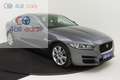 Jaguar XE 2842 Prestige Business Edition PanDak, Trekhaak, Gris - thumbnail 4