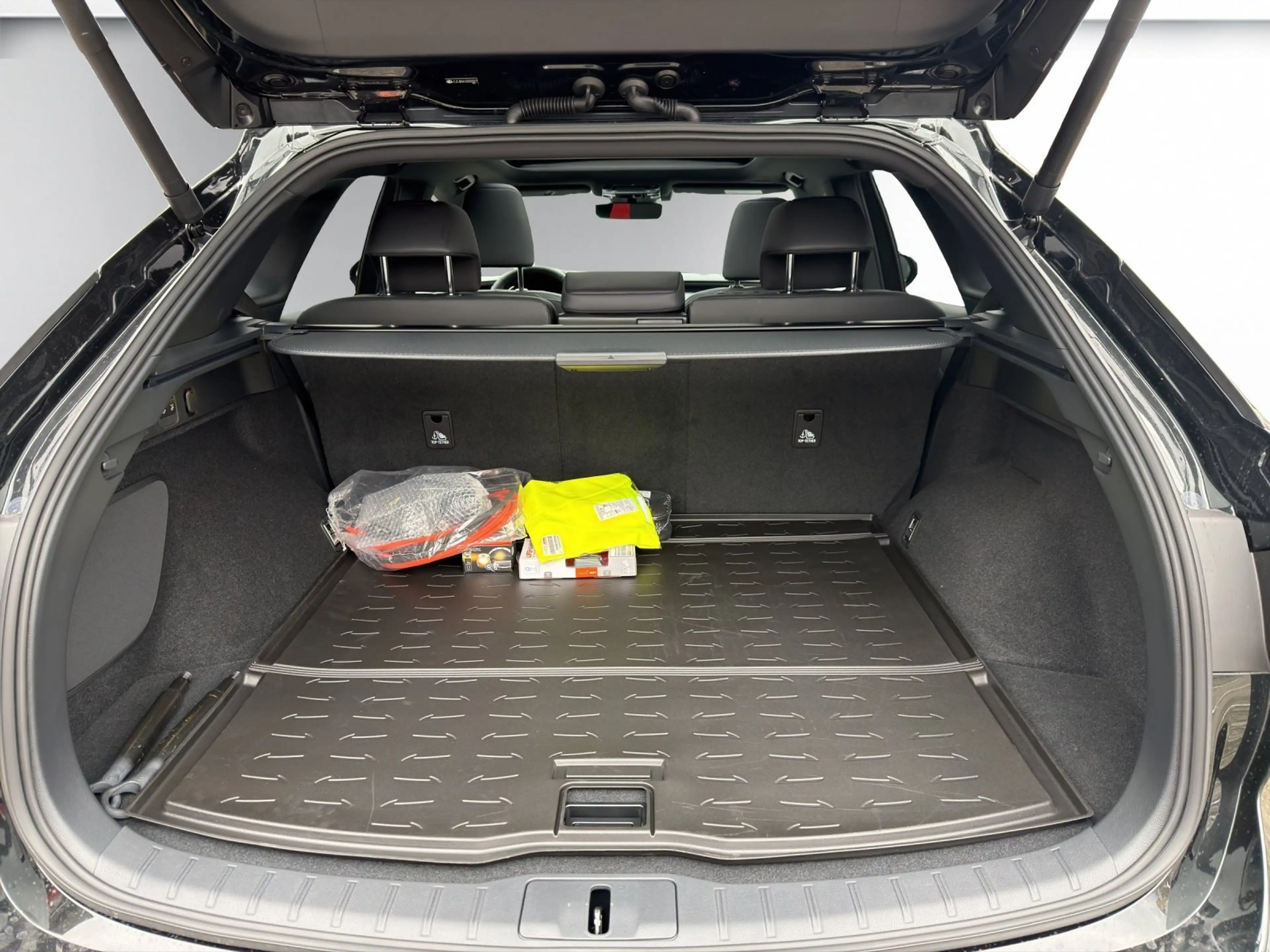 Lexus RX 450h RX 450h (hybrid) F SPORT Design — photo 12