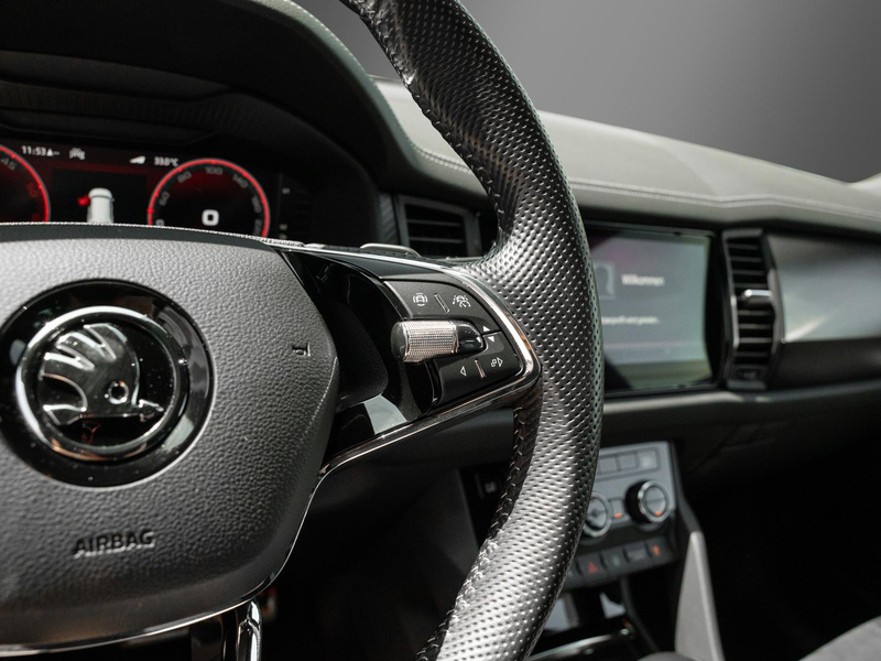 Skoda Kodiaq Sportline 4x4 AHK Business-P Columbus DCC — photo 14