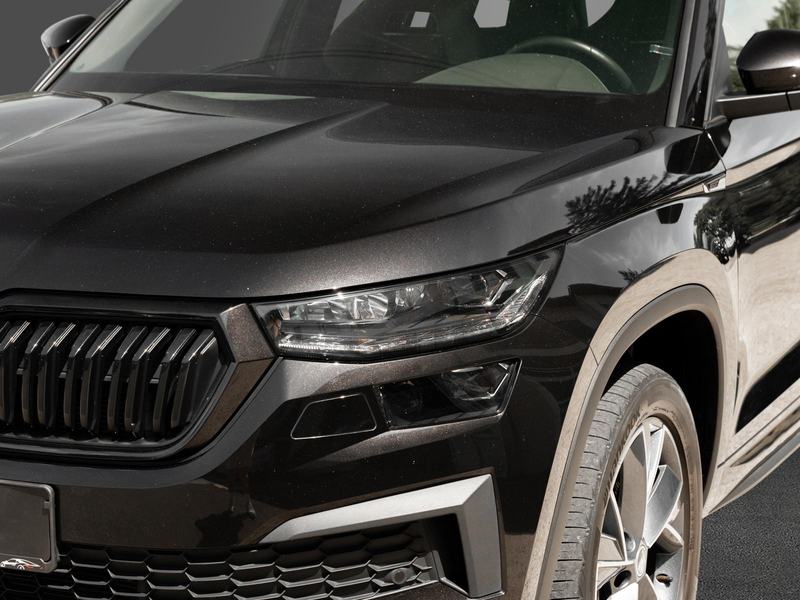 Skoda Kodiaq Sportline 4x4 AHK Business-P Columbus DCC — photo 9