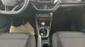 Ford Puma ST-Line/NAVI/LED/WINTER-PAKET/AHZV/PDC/ALU 17" Rot - thumbnail 8