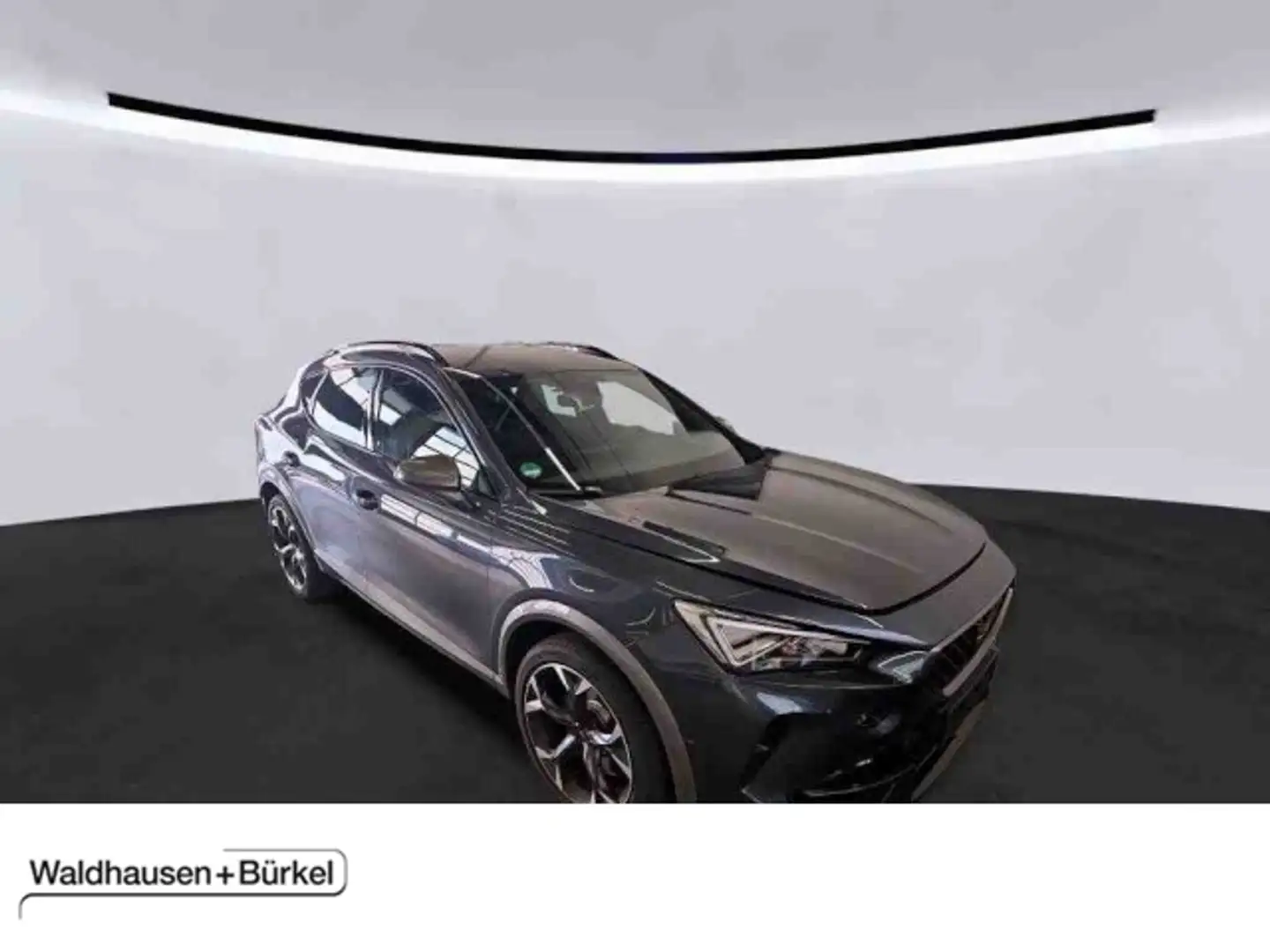 CUPRA Formentor VZ 2.0 TSI DSG 4Drive Klima Navi Rückfahrkamera - 1