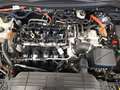 Ford Kuga Titanium 2.5 DuraTec Allrad Negro - thumbnail 22