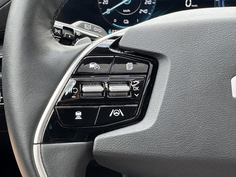 Kia e-Niro EV Executive Line 64.8 kWh SOH 98% All season V2L — photo 5