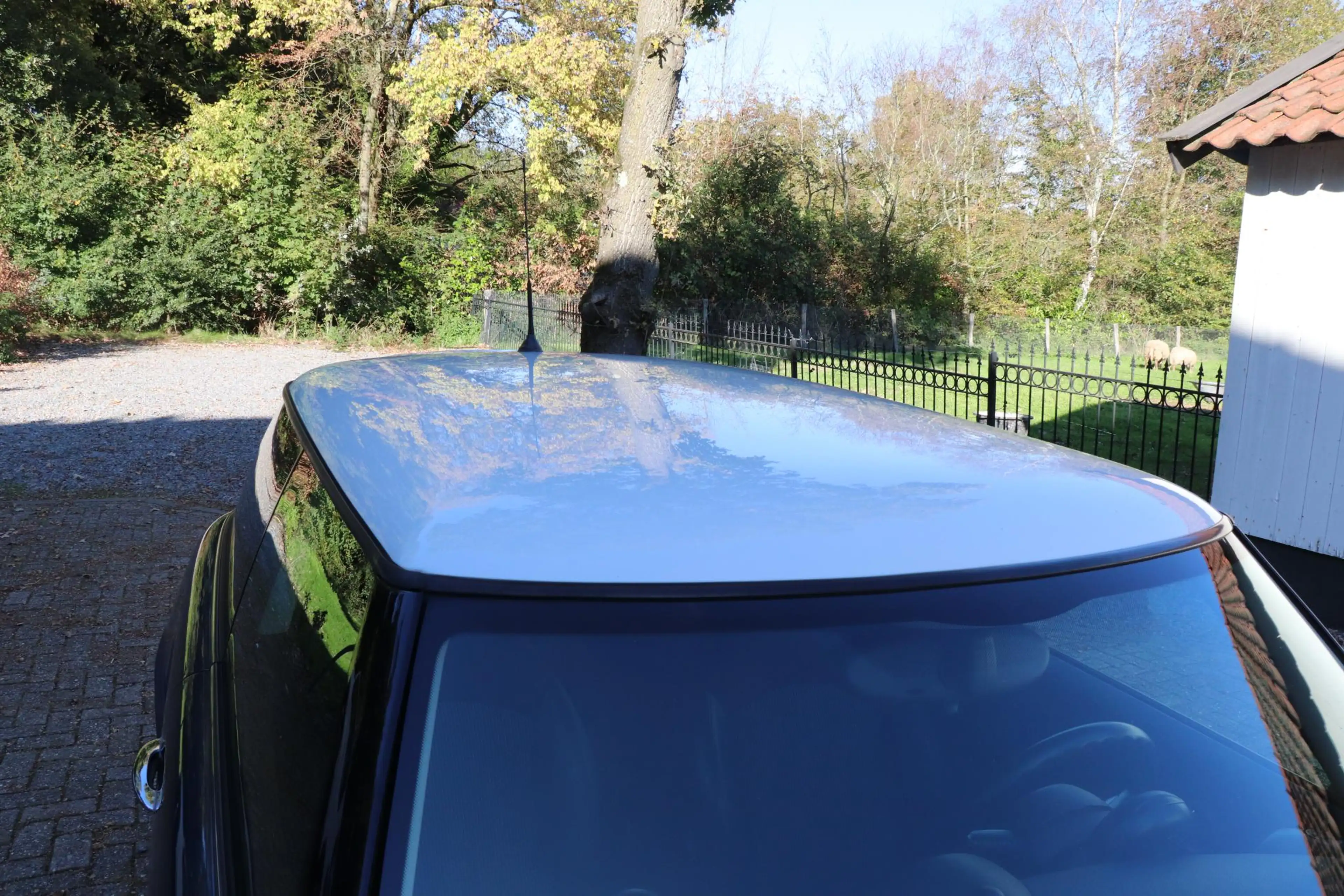MINI Cooper 3-Deurs 1.6 Chili — photo 33