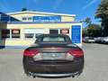 Audi A5 Cabriolet 3.0 TDI quattro Sportpaket 20" Brun - thumbnail 7